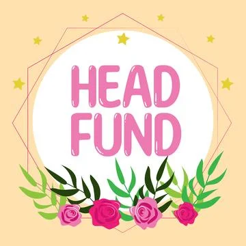 Writing displaying text Head Fund. Business concept pools capital from Stock Illustration