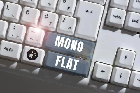 Writing displaying text Mono Flat. Business concept lying at full length or Fotos de archivo