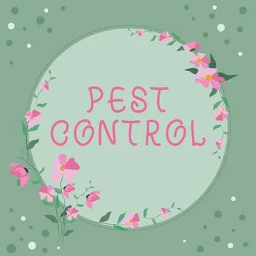 Writing displaying text Pest Control. Business overview Killing destructive イラスト素材