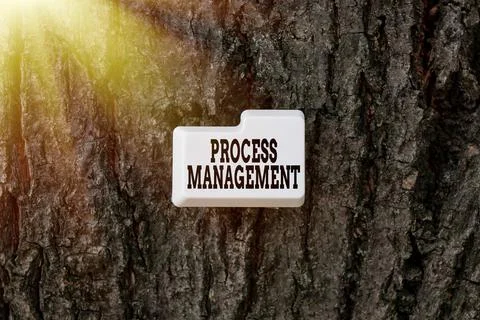 Writing displaying text Process Management. Concept meaning aligning processes Stock Photos