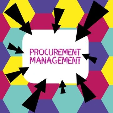 Writing displaying text Procurement Management. Word Written on buying Goods and Illustrazione stock