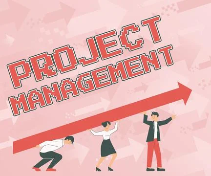 Writing displaying text Project Management. Business overview Application Illustrazione stock