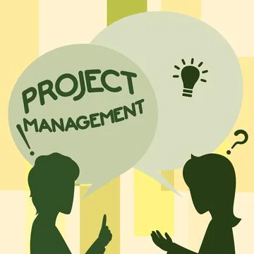 Writing displaying text Project Management. Business overview practice of the Stock Illustration