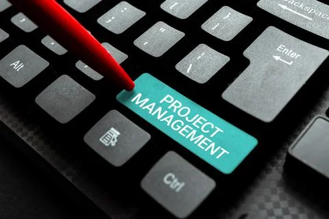 Writing displaying text Project Management. Business overview Application Foto stock