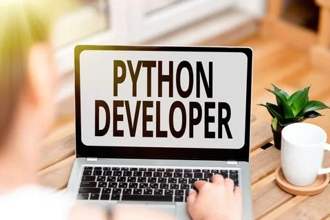 Writing displaying text Python Developer. Business idea responsible for writing Stock Photos