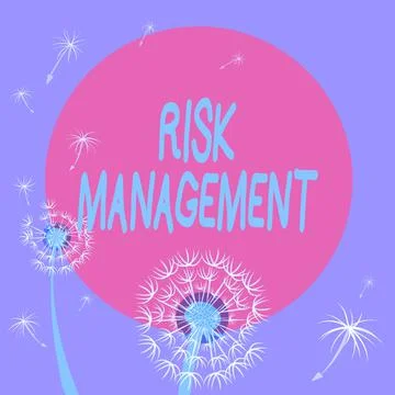 Writing displaying text Risk Management. Word Written on evaluation of financial Illustrazione stock