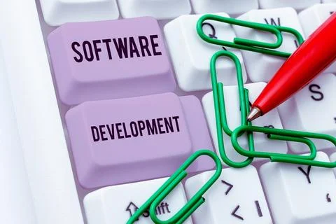 Writing displaying text Software Development. Business overview software is 写真素材