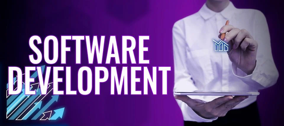 Writing displaying text Software Development. Business overview software is 写真素材