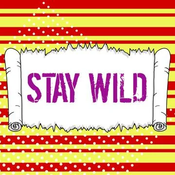 Writing displaying text Stay Wild. Conceptual photo keep being you and doing Stock Illustration
