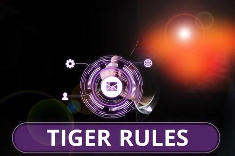 Writing displaying text Tiger Rules. Word Written on Willpower and personal Stock Photos