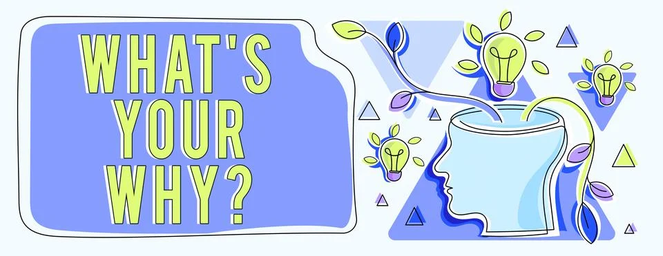 Writing displaying text What S Your Why Question. Business concept annoyed and Stock Illustration