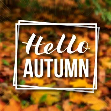 Writing Hello autumn on blurred background of colorful autumn leaves. Fall th Stock Illustration