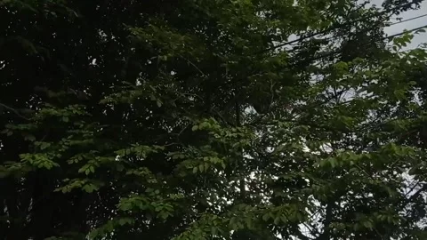 Writing a name on a paper test Stock Footage 146258979