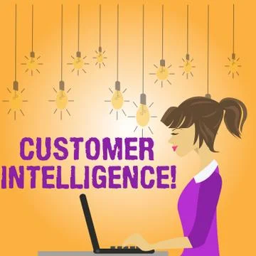 Writing note showing Customer Intelligence. Business photo showcasing process of Stock Illustration