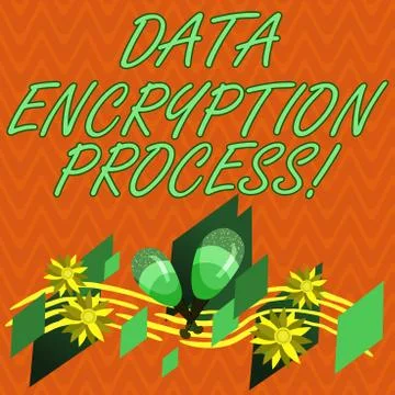 Writing note showing Data Encryption Process. Business photo showcasing The Illustrazione stock
