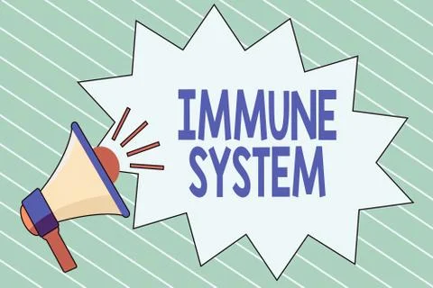 Writing note showing Immune System. Business photo showcasing Complex network Stock Illustration