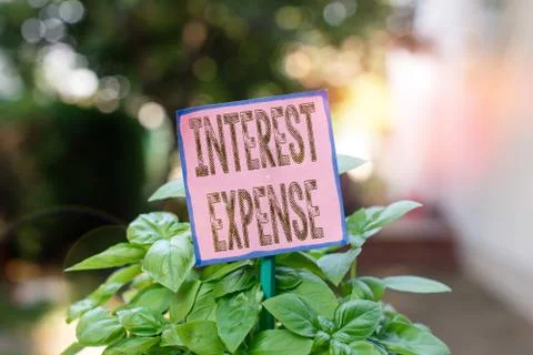 Writing note showing Interest Expense. Business photo showcasing cost of debt Fotos Stock