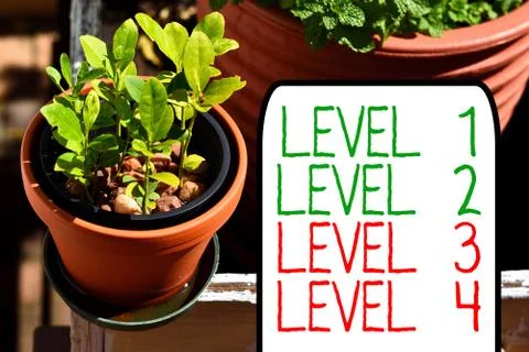 Writing note showing Level 1, 2, 3 and 4. Business photo showcasing Steps levels Foto stock