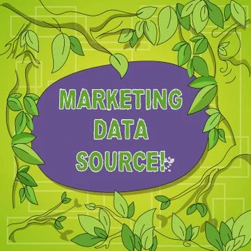 Writing note showing Marketing Data Source. Business photo showcasing connection Stock Illustration