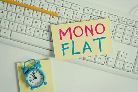 Writing note showing Mono Flat. Business photo showcasing Stroke line icons for Foto stock