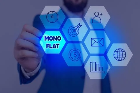 Writing note showing Mono Flat. Business photo showcasing Stroke line icons for Stock-Fotos