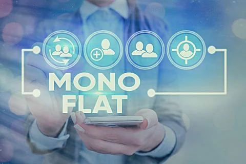 Writing note showing Mono Flat. Business photo showcasing Stroke line icons for Stock-Fotos