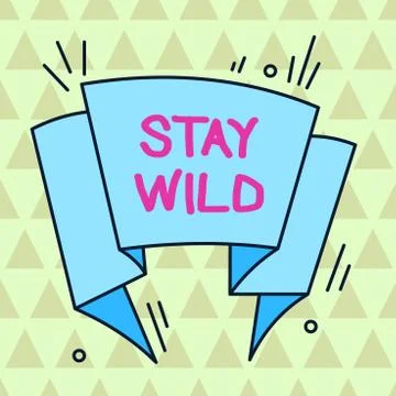 Writing note showing Stay Wild. Business photo showcasing keep being you and Stock Illustration