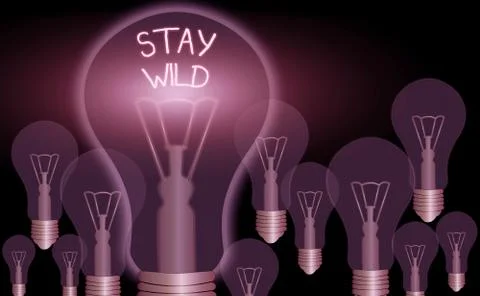 Writing note showing Stay Wild. Business photo showcasing keep being you and Stock Illustration