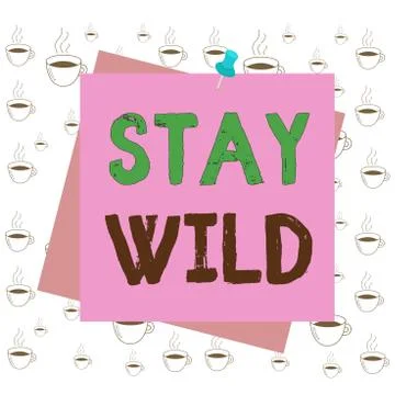 Writing note showing Stay Wild. Business photo showcasing keep being you and Stock Illustration