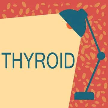 Writing note showing Thyroid. Business photo showcasing Gland in neck Secretes Stock Illustration
