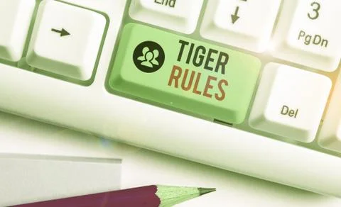 Writing note showing Tiger Rules. Business photo showcasing Willpower and Stock Photos