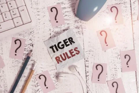 Writing note showing Tiger Rules. Business photo showcasing Willpower and Stock Photos