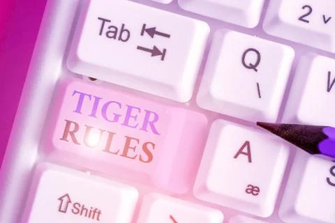 Writing note showing Tiger Rules. Business photo showcasing Willpower and Stock Photos