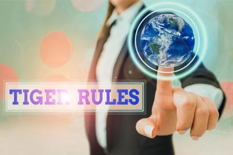 Writing note showing Tiger Rules. Business photo showcasing Willpower and Stock Photos