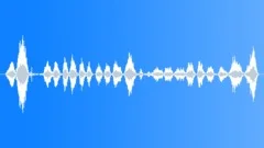 WRITING, PEN Sound Effect