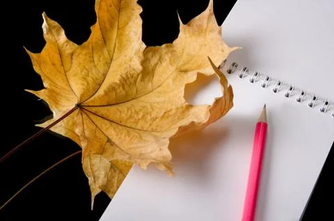Writing subjects Stock Photos