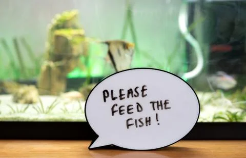 Written reminder to please feed the fish in front of fish tank Stock Photos