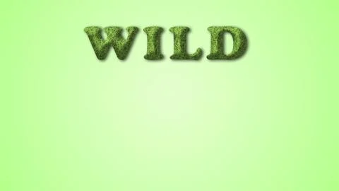 Written Wild on a green background. Text Wild Stock Illustration