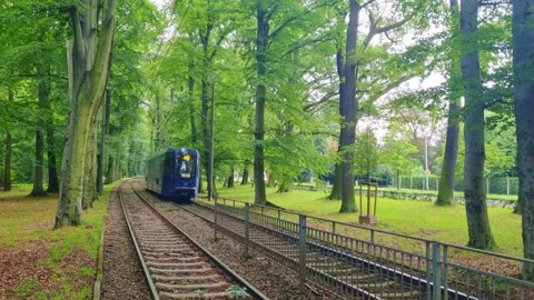 Wroclaw, Poland, June 14, 2023: a tram passes along green trees. Stock Footage 252175974
