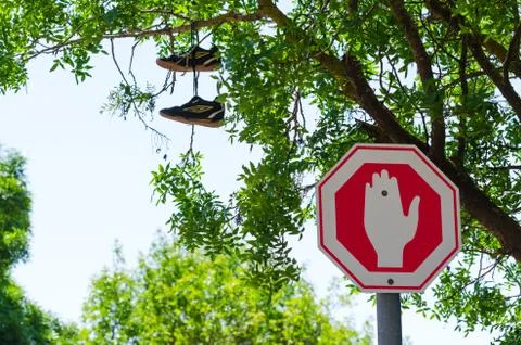 Wrong way stop sign and shoes on the tree Stock Photos