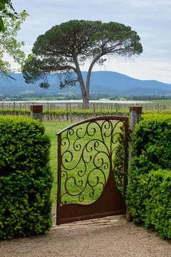 Wrought iron gate - Coldstream Stock Photos