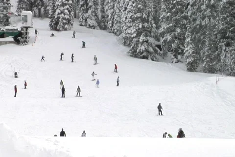 WS-BeginningSkiers NTSC DV 動画素材 842476