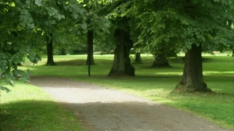 WS Boy running down park path Stock Footage 11340692