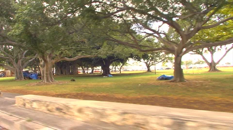 WS driving through Ala Moana park, homeless tents Stock Footage 5835324