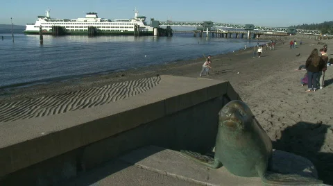 WS ferry Seal, beach Video stock 685044