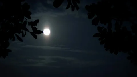 WS Full moon in sky sat night Stock Footage 108884592