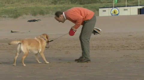 WS, Handheld, Male playing and running with dog on the beach Stock Footage
