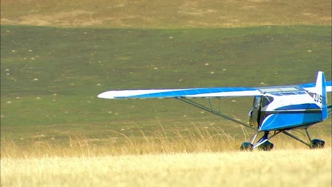 WS Light aircraft moving through grass / Howick, KwaZulu-Natal Province, South 動画素材 95598552