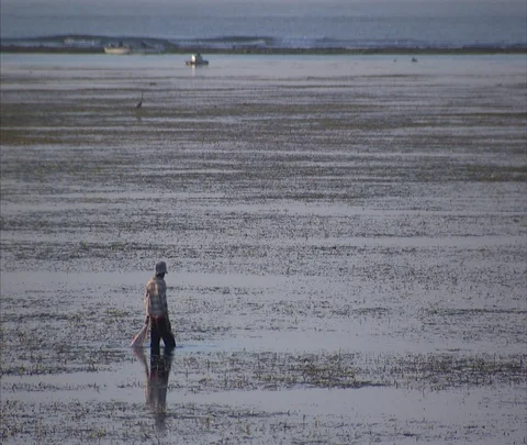 WS man in hat wading in shallow water or rice paddy Stock Footage 86747834