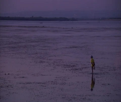 WS Man in straw hat wades through purple still waters of rice paddy at dusk Stock Footage 86747621